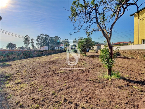 Moradia para Restaurar T3