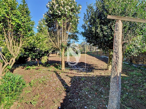 Moradia para Restaurar T3