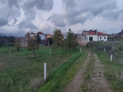 Terreno