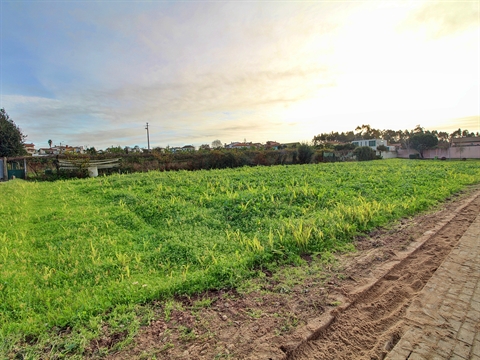 Lote de Terreno