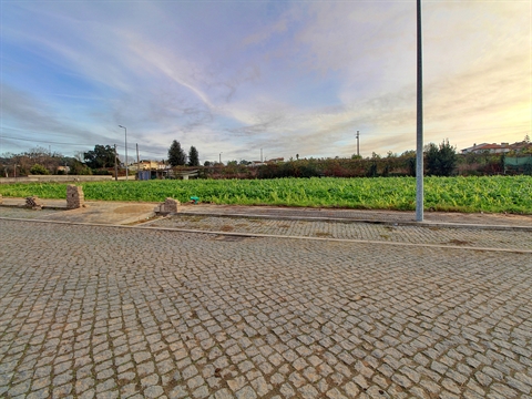 Lote de Terreno