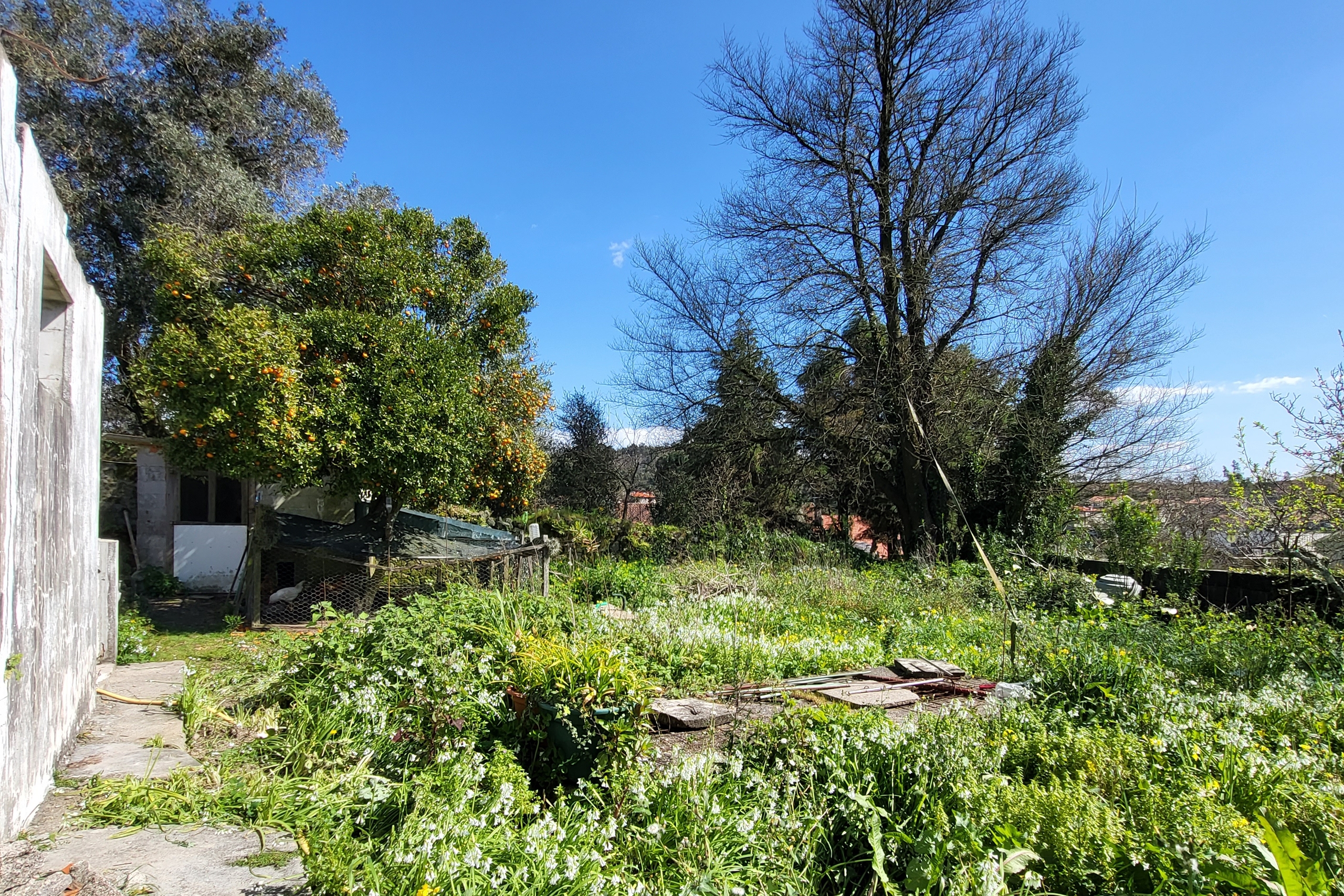 Moradia para Restaurar