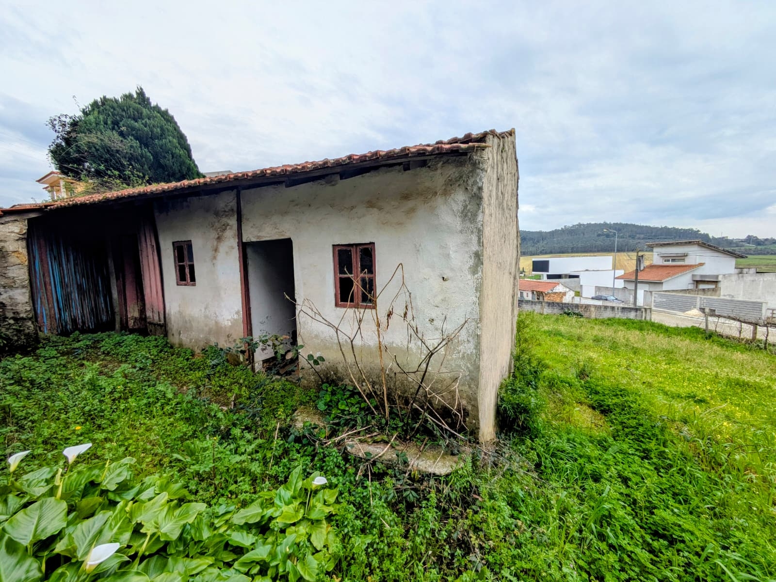 Moradia para Restaurar