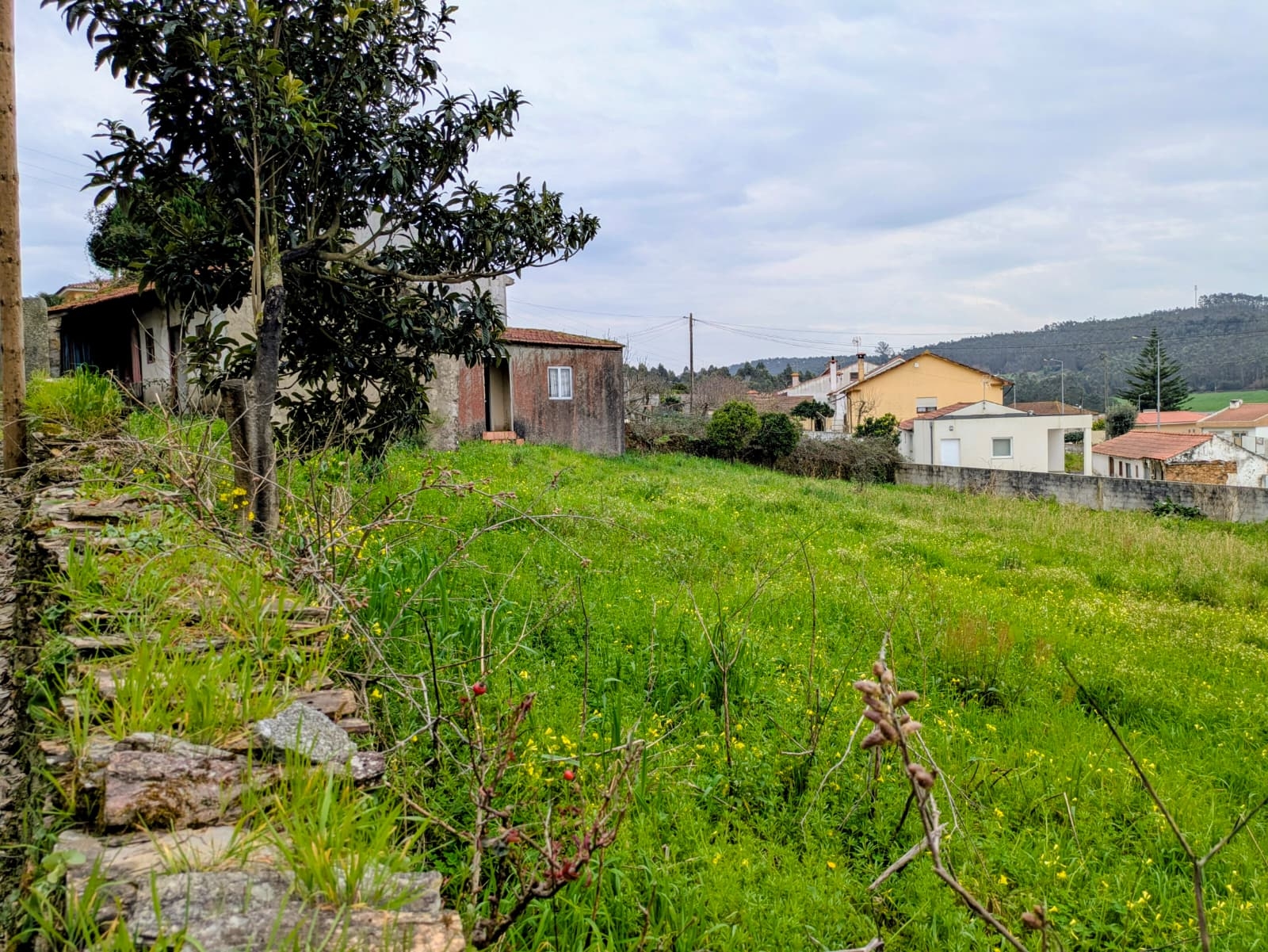 Moradia para Restaurar